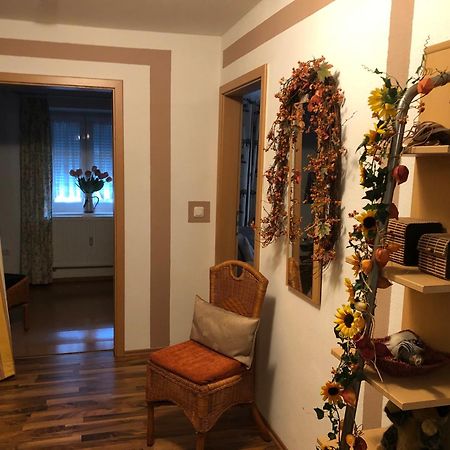 Schoene Ferienwohnung In Bahnhofsnaehe Fuer Urlaub, Studium Oder Arbeit Deggendorf Esterno foto