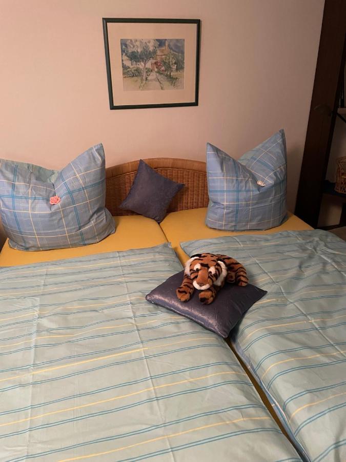 Schoene Ferienwohnung In Bahnhofsnaehe Fuer Urlaub, Studium Oder Arbeit Deggendorf Esterno foto